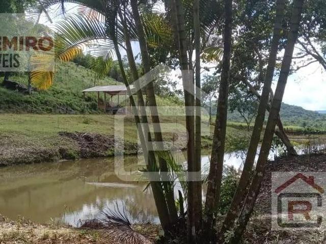 Fazenda contendo plantação de Banana
