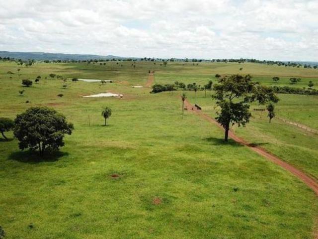 FAZENDA DUPLA APTIDÃO