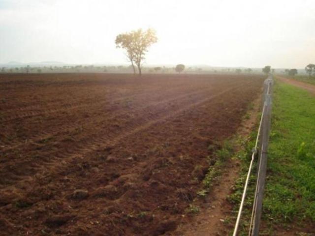 FAZENDA DUPLA APTIDÃO CÁCERES MT