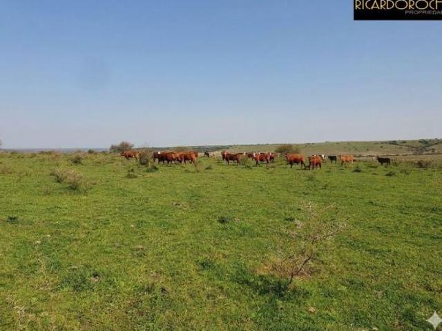 Fazenda Dupla Aptidão | Capivari do Sul | RS