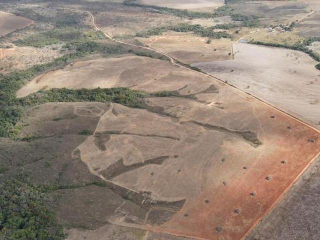 FAZENDA DUPLA APTIDÃO EM COROMANDEL