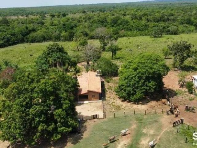 FAZENDA DUPLA APTIDÃO PLANTAÇÃO E PECUÁRIA PALMEIROPOLIS GO