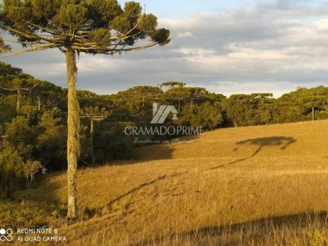 FAZENDA DA CRIA