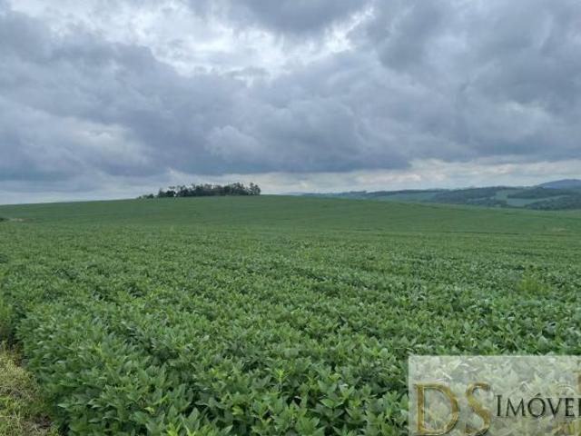 FAZENDA DE ALTO PADRÃO À VENDA EM ITAPORANGA/SP: 287 ALQUEIRES, ÓTIMA ESTRUTURA E LOCALIZAÇÃO!