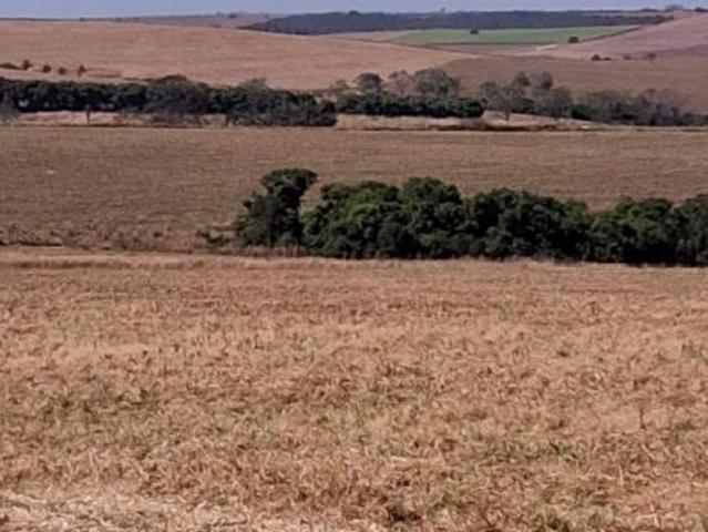 Fazenda de Alta Produtividade à Venda – 1.635 Hectares | Região Estratégica e Forte Aptidão Agrícola