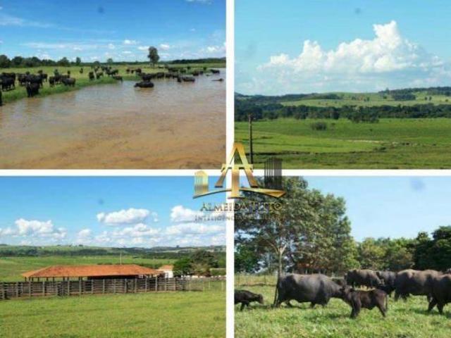 Fazenda de Búfalos à Venda na Região de Itaporanga SP