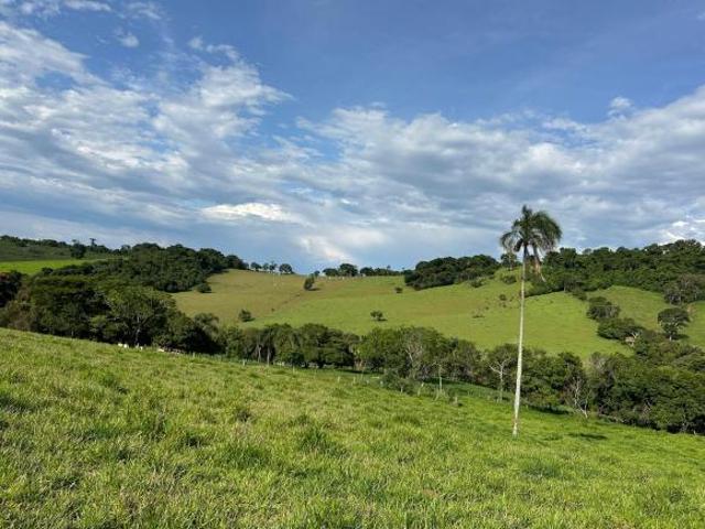 Fazenda de cultivo e criação de animais com potencial turístico