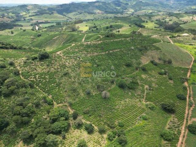 FAZENDA DE CAFÉ A VENDA EM BOTELHOS MG