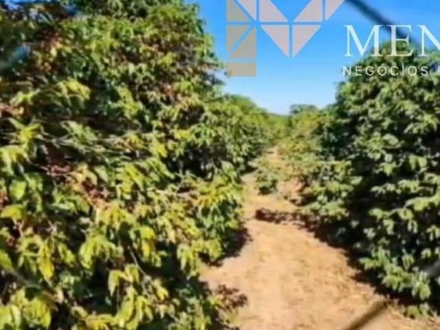 Fazenda de Café à venda na região de Campanha/MG