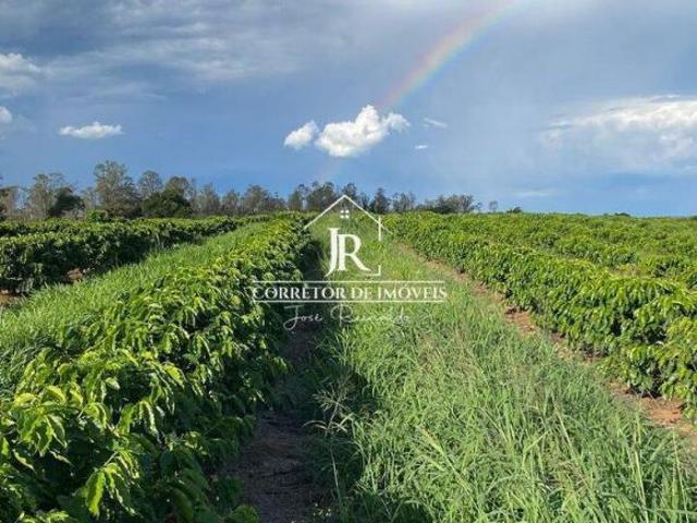 FAZENDA DE CAFÉ À VENDA – PORTEIRA FECHADA