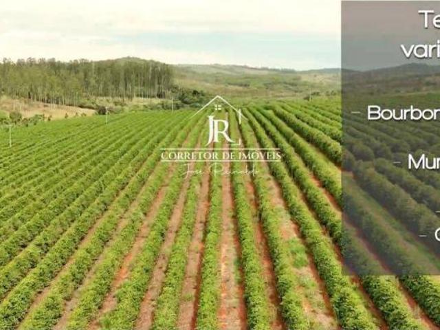 FAZENDA DE CAFÉ À VENDA – SANTO ANTÔNIO DO AMPARO/MG