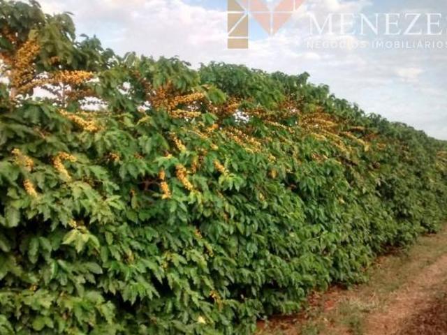 FAZENDA DE CAFÉ À VENDA SUL DE MINAS GERAIS