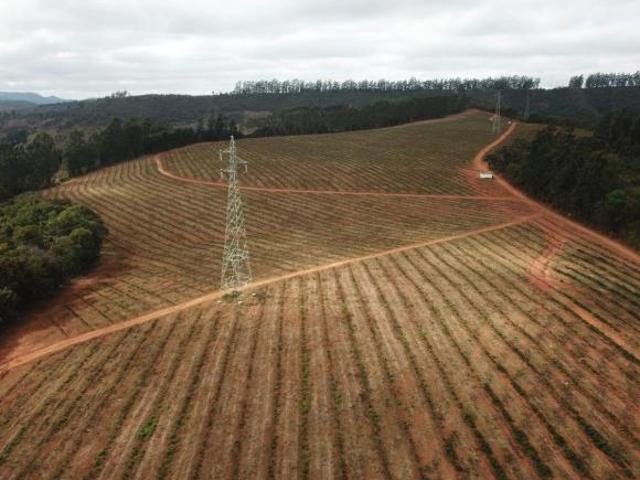Fazenda de café de porteira fechada