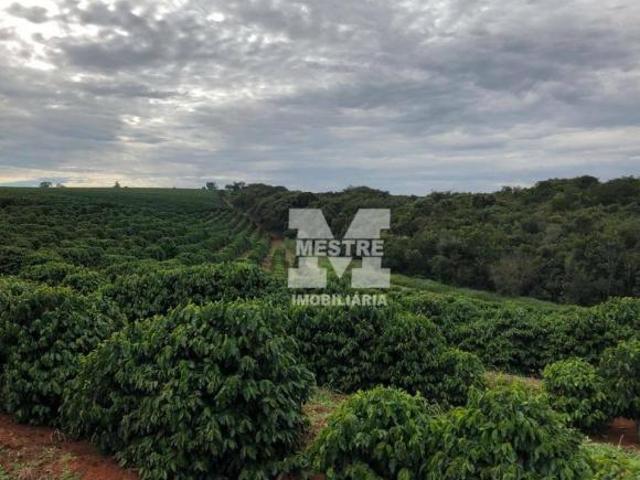 Fazenda com 85 hectares em Campos Gerais MG