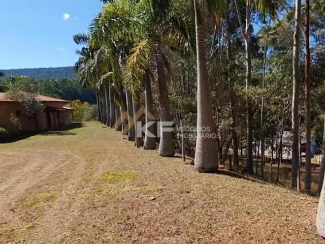 FAZENDA DE CAFÉ ESPECIAL E PECUÁRIA EM MONTE SANTO DE MINAS