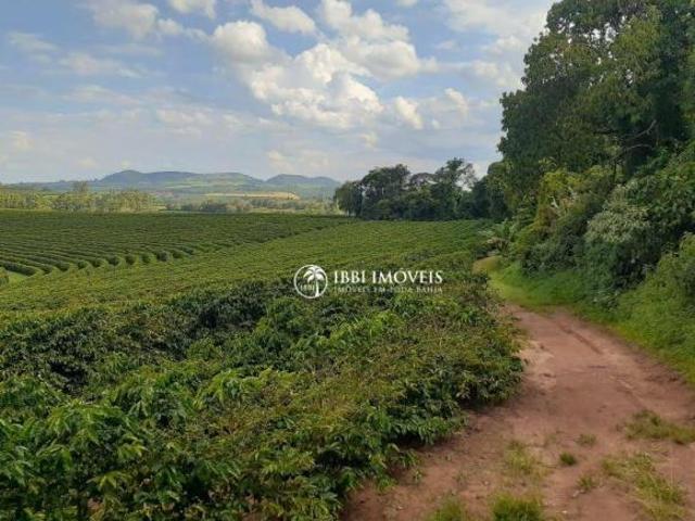 Fazenda de cafe porteira fechada MG/SP 408 HA
