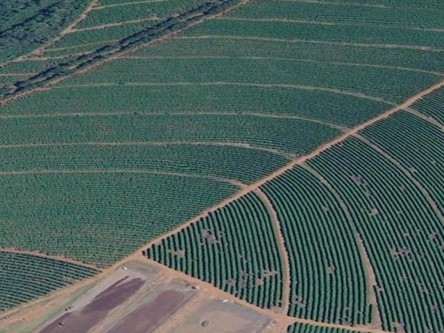 FAZENDA DE CAFEICULTURA COM 309 HECTARES À BEIRA RIO E PERTO DO ASFALTO