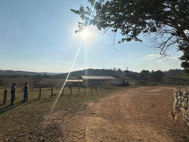 FAZENDA DE CINEMA 44 HECTARES 100% PLANA, C/ TERRA DE CULTURA E ÁGUA CORRENTE À VENDA EM PIRACEMA/MG