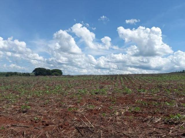 FAZENDA DE DUPLA APTIDÃO ? SERRA DO SALITRE/MG