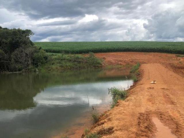 Fazenda de Grãos