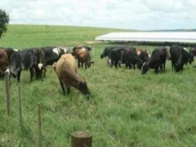FAZENDA CINEMATOGRÁFICA A VENDA NA REGIÃO DE BAURU/SP* ? *VENDA DE PORTEIRA FECHADA* ? ? Dupla