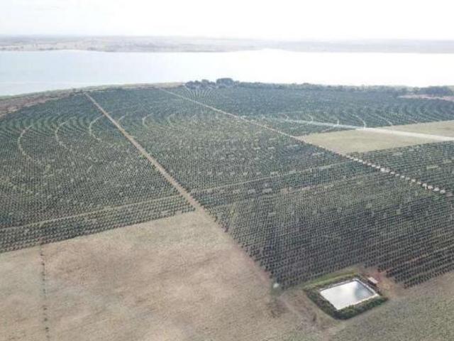 Fazenda de luxo à venda em Cardoso SP, Zona Rural: 3 quartos, 1 suíte, 3 salas, 2 banheiros, 3 vagas