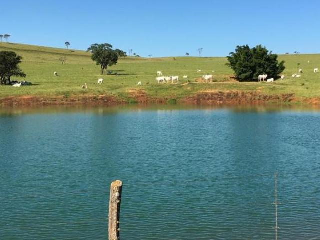 Fazenda de Luxo à Venda em Corumbá de Goiás GO 3 quartos, 3 suítes, 3 salas, 4 banheiros, 5 vagas