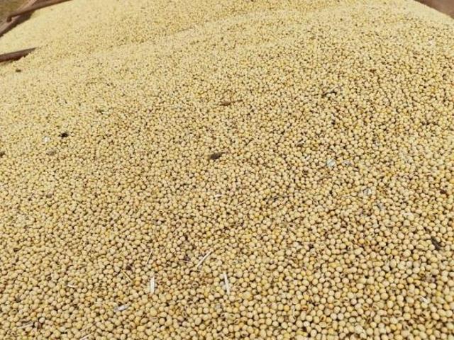 Fazenda de Luxo à Venda em Paracatu MG: 3 quartos, 2 suítes, 4 salas, 3 banheiros, 10 vagas, 7.800.0