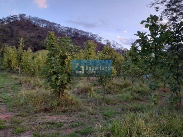Fazenda de luxo à venda em Ribeirão Bonito SP, Centro: 4 quartos, 2 salas, 3 banheiros, 57 hectares!
