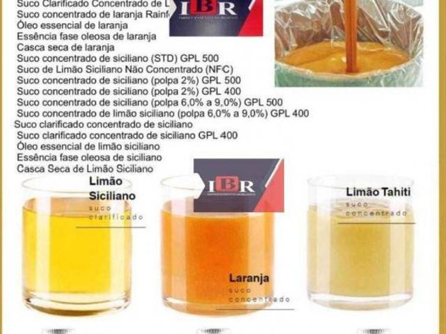 Fazenda de Laranja no estado de São Paulo