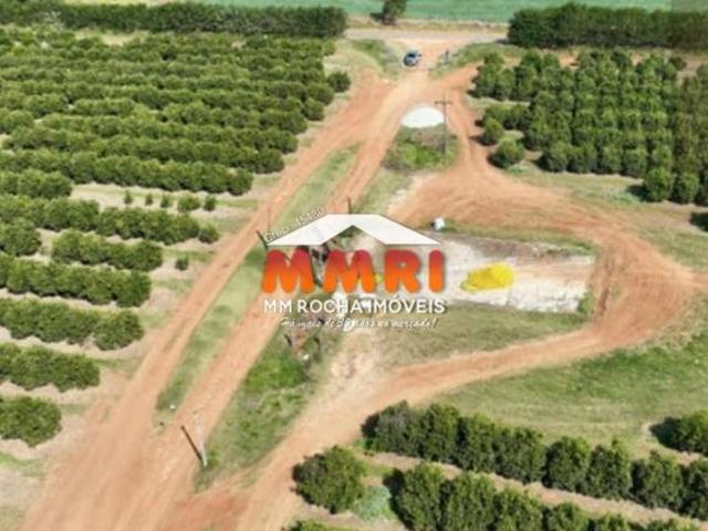 Fazenda de Laranja na região de Itapetininga/SP