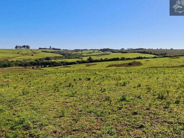 Fazenda de Primeira em Bagé RS