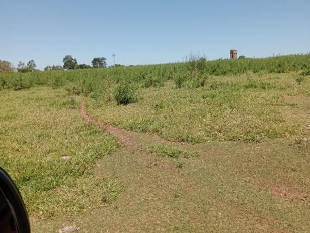 Fazenda de 150 alqueires em Garça/SP, Centro: topografia boa, boa de água, 70 alqueires em pasto. Ap