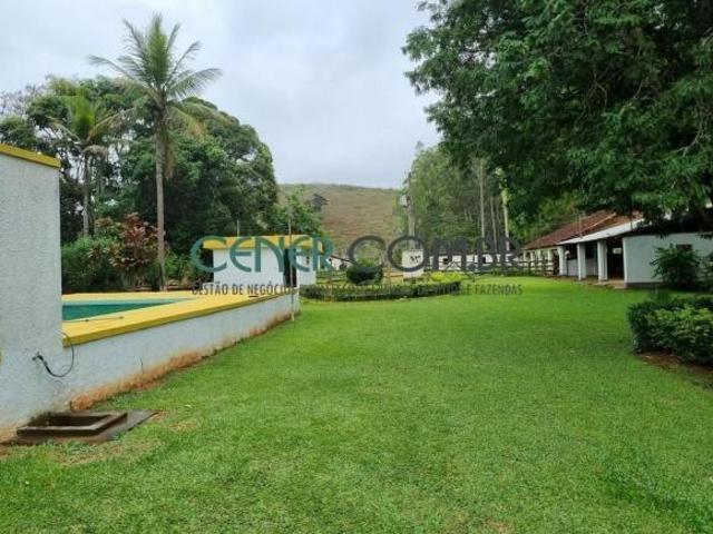 Fazenda de 163 ha com Estrutura Antiga e Ótima Localização à Venda em Leopoldina, MG
