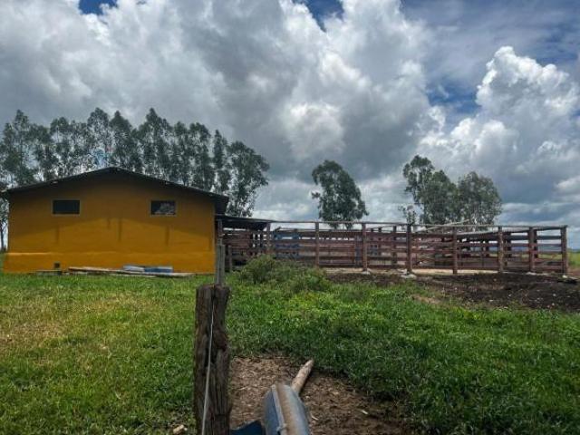 Fazenda de 163 hectares em Buenópolis/MG