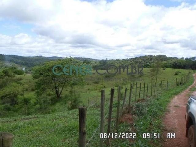 Fazenda de 165 ha com Ótimas Terras, Fáb. de Queijo do Serro