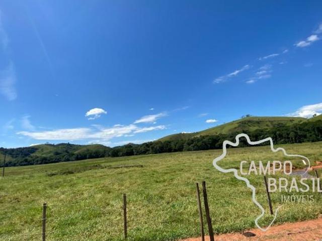 FAZENDA DE 183 ALQUEIRES COM BOA PARTE PLANA COM POTENCIAL PARA CONFINAMENTO E FÁCIL ACESSO NO VALE