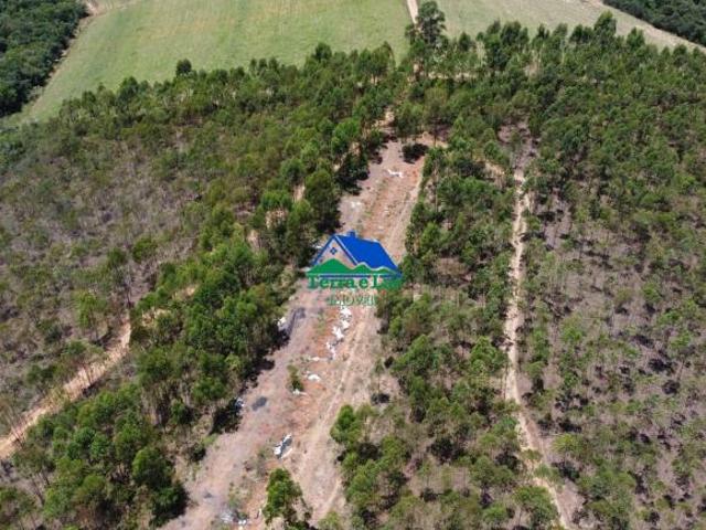 Fazenda de 100 hectares à venda em Seritinga, MG