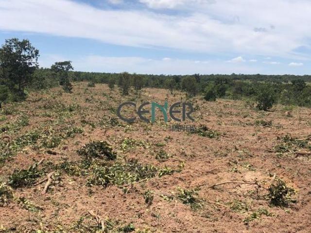 Fazenda de 108 há em João Pinheiro MG dupla aptidão