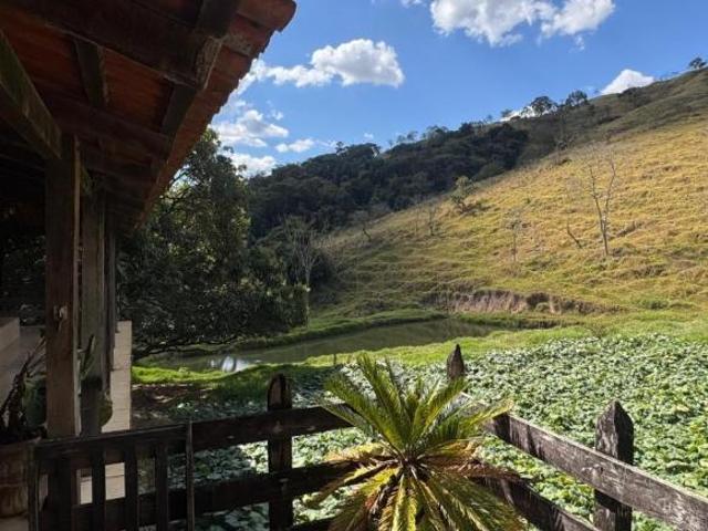 FAZENDA DE 114 HECTARES, BOA DE ÁGUA C/ CURRALAMA DE PEDRA À VENDA EM PIRACEMA/MG