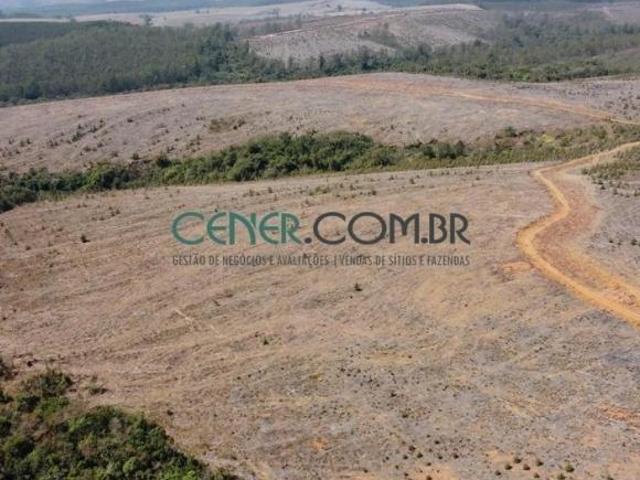 Fazenda de 120 ha Espetacular para Lavoura na Região de Madre de deus MG