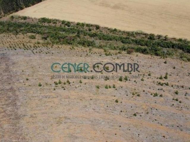 Fazenda de 120 ha Espetacular para Lavoura na Região de Madre de deus MG