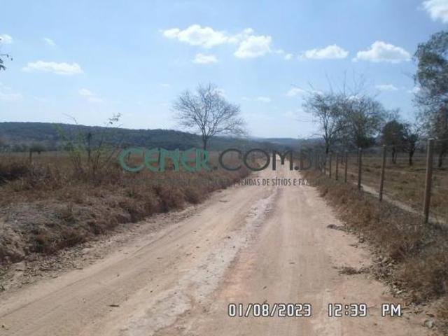 Fazenda de 125 ha em bom despacho MG