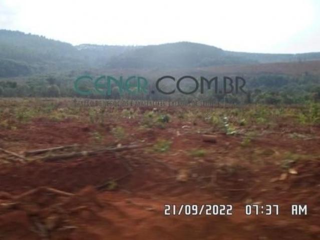 Fazenda de 138,76 ha Extraordinária e Pronta para Plantio de Café ou outras Lavoura