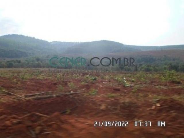 Fazenda de 138,76 ha Extraordinária e Pronta para Plantio de Café ou outras Lavoura