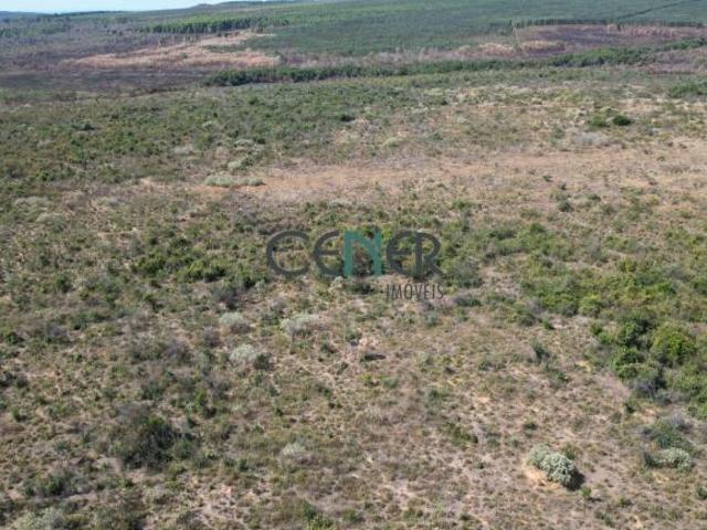 Fazenda de 1 095 ha ótima para café e lavouras