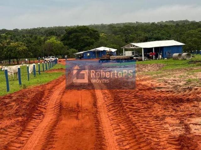 Fazenda de 1.200 hectares à venda no Centro de Novo São Joaquim MT: 3 quartos, 1 suíte, 1 sala, 2 ba