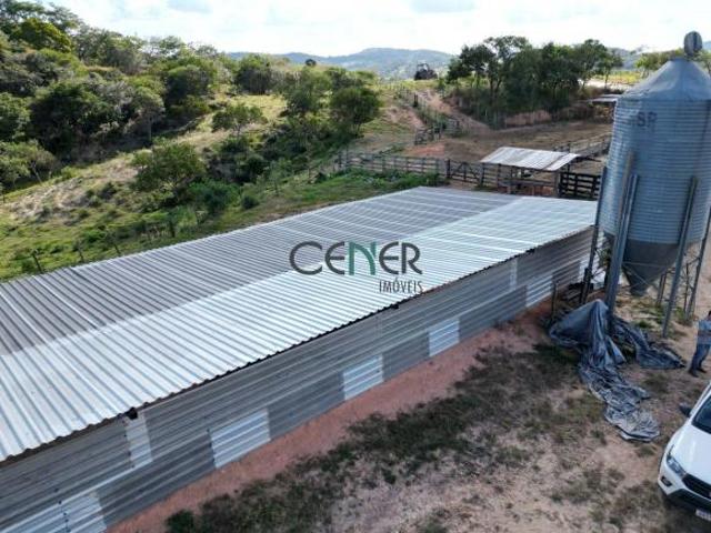 Fazenda de 249 ha estruturada para gado de elite