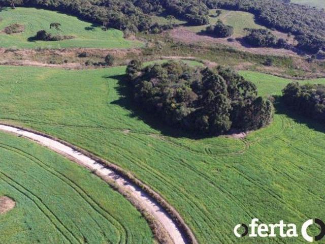 Fazenda de 28 Alqueires na Lapa