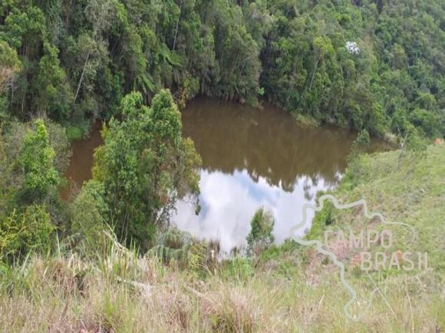 Fazenda de 209 ha bem localizada! Serve agricultura e pecuária!